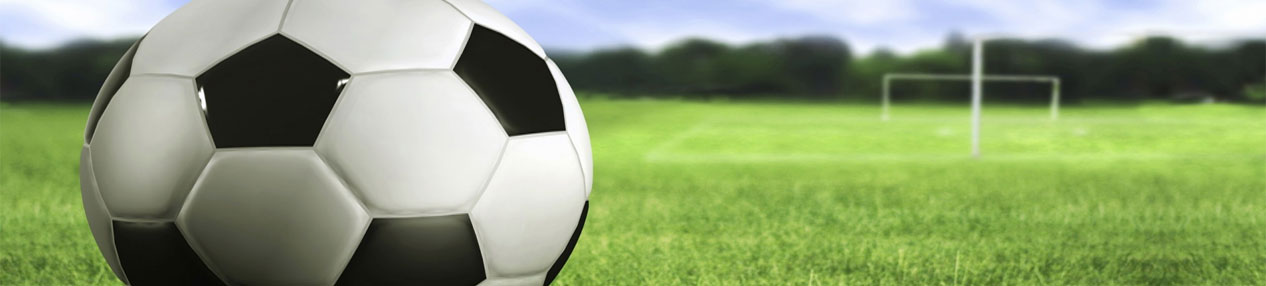 soccerbanner (44K)